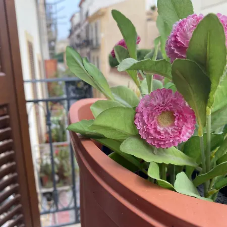 Casa Vetriera Appartement *