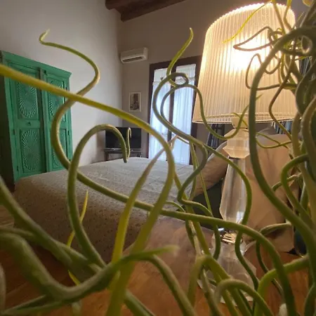 Appartement Casa Vetriera *